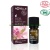 Sinerg�a de aceites esenciales Bio Equilibrante ACORELLE